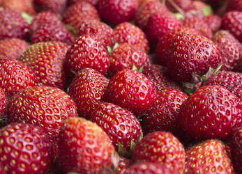 Similar image 1807634