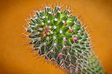 Similar image 1807636