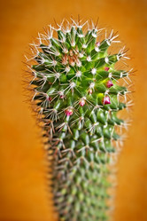 Similar image 1807643