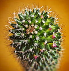 Similar image 1807644