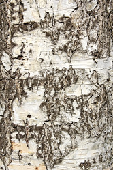 Similar image 1807649