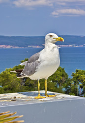 Similar image 1807650