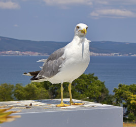 Similar image 1807651