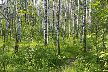 Similar image 1807654