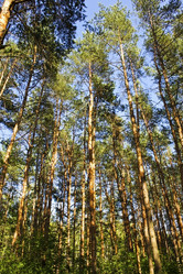 Similar image 1807655