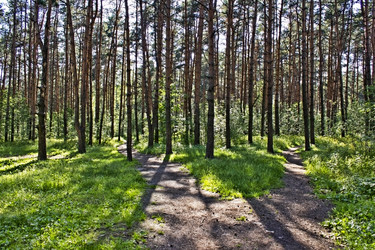 Similar image 1807656