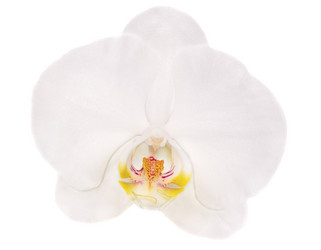 Similar image 1807657