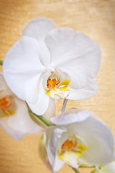 Similar image 1807658