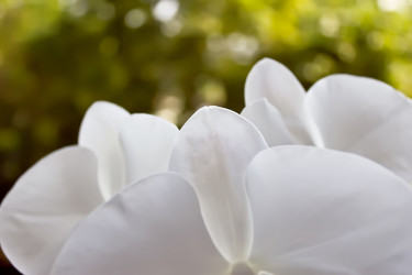 Similar image 1807659