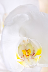 Similar image 1807660