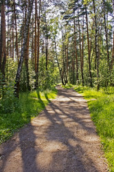 Similar image 1807664