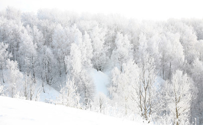 Similar image 1807747