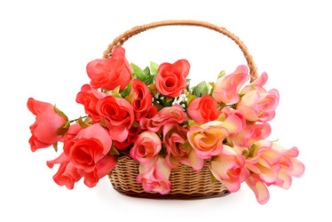 Similar image 1807762