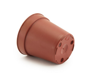 Similar image 1807855