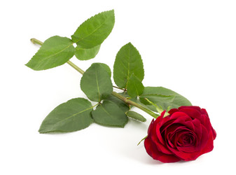 Similar image 1807887