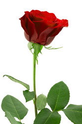 Similar image 1807888