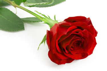 Similar image 1807889