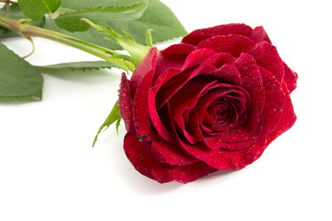 Similar image 1807890