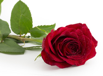 Similar image 1807891