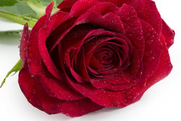 Similar image 1807892