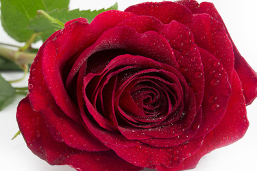 Similar image 1807893