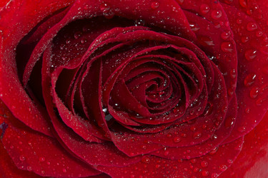 Similar image 1807894