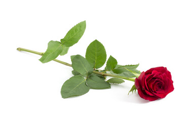 Similar image 1807895