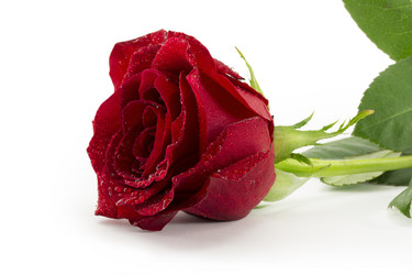 Similar image 1807900