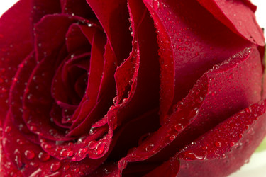 Similar image 1807903