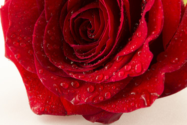 Similar image 1807906