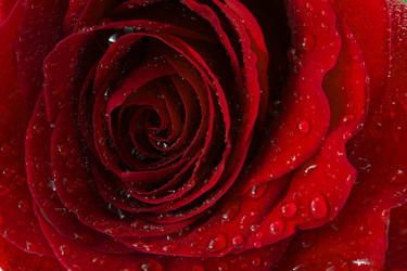 Similar image 1807908