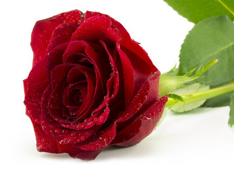 Similar image 1807911