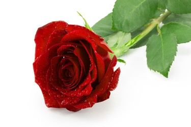 Similar image 1807913