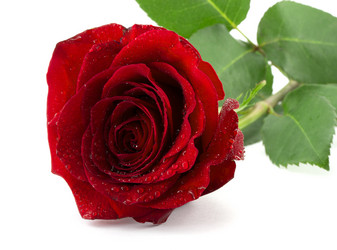 Similar image 1807914