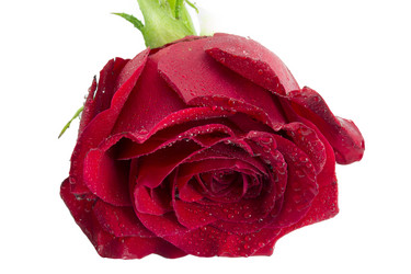 Similar image 1807919