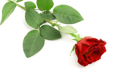 Similar image 1807920