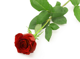 Similar image 1807921