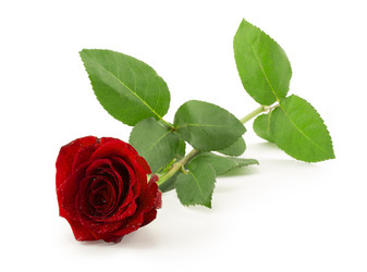 Similar image 1807924