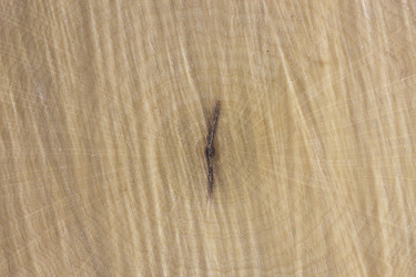 Similar image 1807927