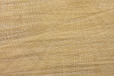 Similar image 1807928