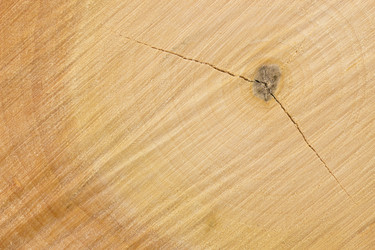 Similar image 1807931