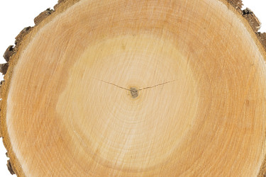 Similar image 1807933