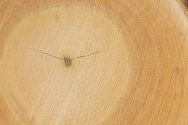 Similar image 1807934