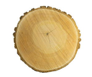 Similar image 1807935