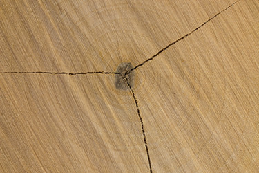 Similar image 1807936