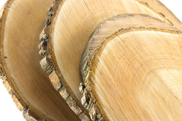 Similar image 1807939