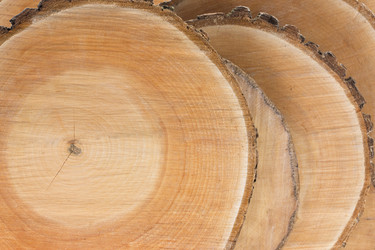 Similar image 1807945