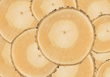 Similar image 1807946