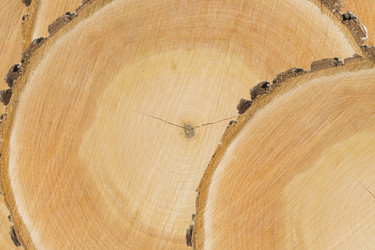 Similar image 1807949