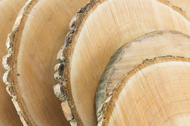 Similar image 1807950